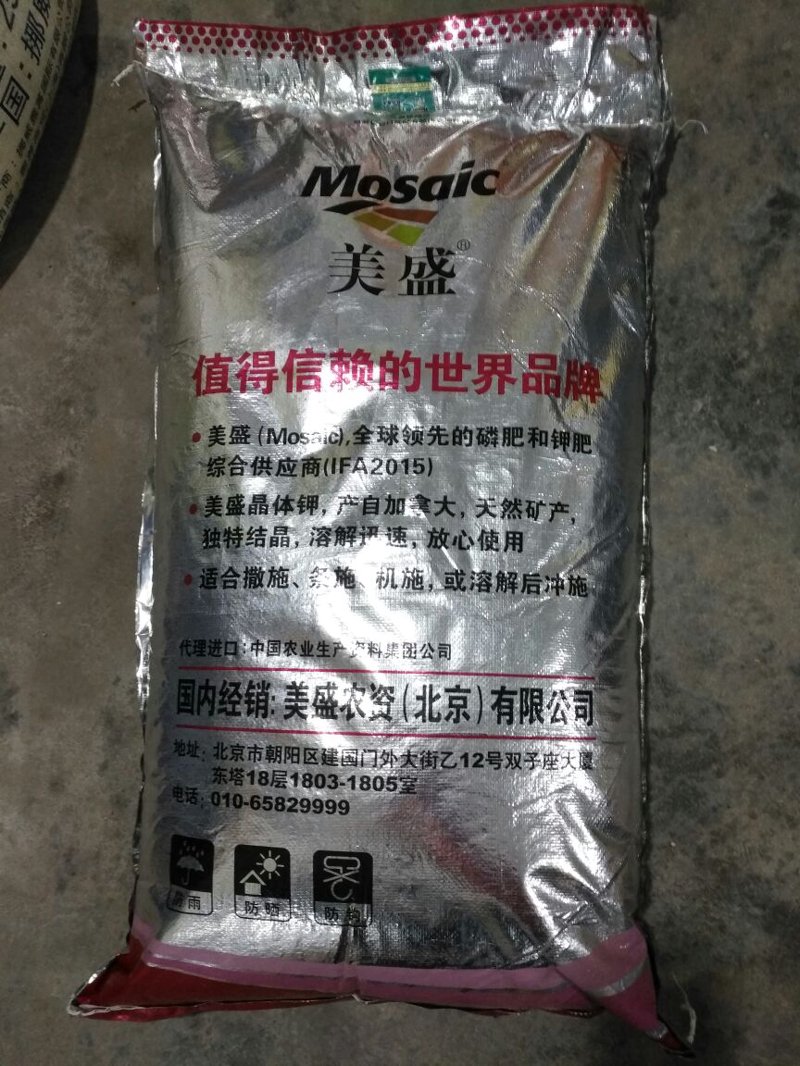 天球国际选购指南：让每一天都充满探索与想象