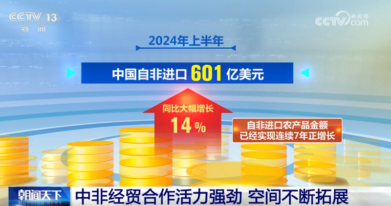 探索马达加斯加大门：进出口商品选购指南
